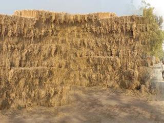 Biomass Supply Chain