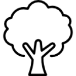 Biomass Burning Reduction